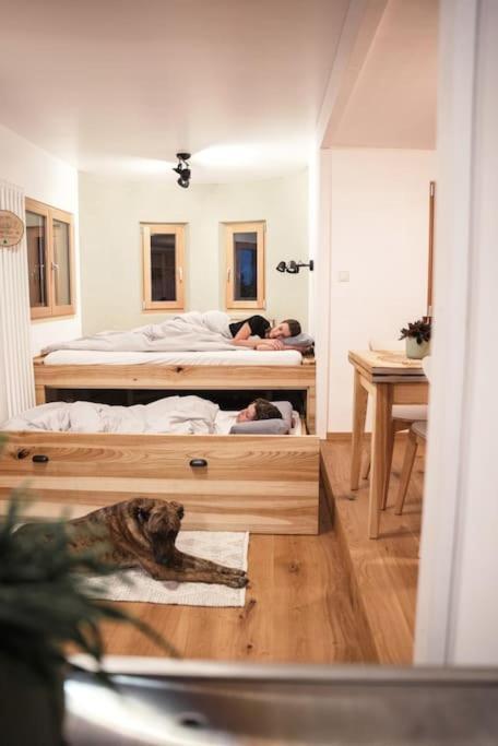 Вилла Wohnwagon Paul - Autarkie Erleben! - Tiny House Oberschneiding Экстерьер фото