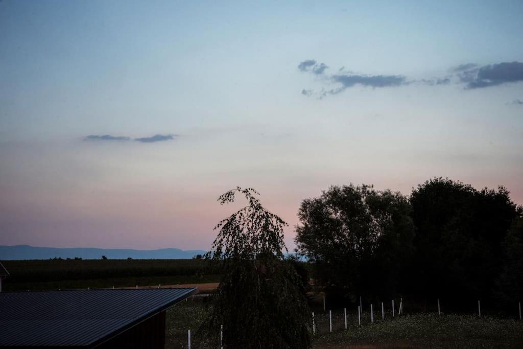 Вилла Wohnwagon Paul - Autarkie Erleben! - Tiny House Oberschneiding Экстерьер фото